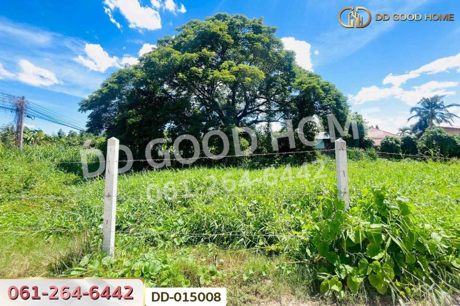 ที่ดินนครสวรรค์ตก 325 ตร.ว. นครสวรรค์ ใกล้มหาวิทยาลัยราชภัฏนครสวรรค์-4