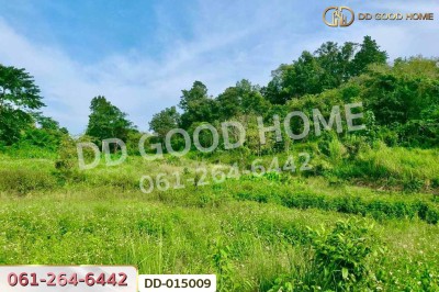 ที่ดินพร้อมสิ่งปลูกสร้างพาน 37 ไร่ 251.4 ตร.ว. เชียงราย ใกล้มหาวิทยาลัยเทคโนโลยีราชมงคลล้านนา