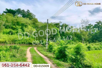 ที่ดินพร้อมสิ่งปลูกสร้างพาน 37 ไร่ 251.4 ตร.ว. เชียงราย ใกล้มหาวิทยาลัยเทคโนโลยีราชมงคลล้านนา