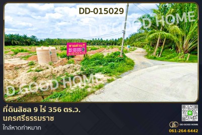 ที่ดินสิชล 9 ไร่ 356 ตร.ว.นครศรีธรรมราช ใกล้หาดท่าหมาก.