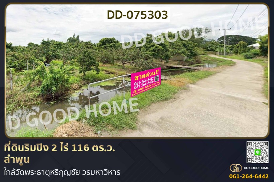 ที่ดินริมปิง 2 ไร่ 116 ตร.ว. ลำพูน ใกล้วัดพระธาตุหริภุญชัย วรมหาวิหาร.-1