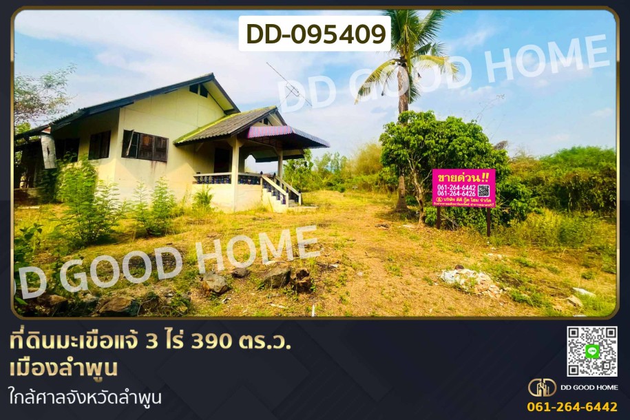 ที่ดินมะเขือแจ้ 3 ไร่ 390 ตร.ว. เมืองลำพูน ใกล้ศาลจังหวัดลำพูน-1
