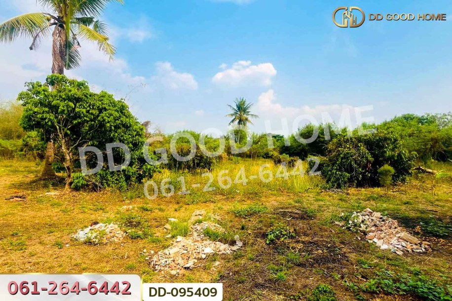 ที่ดินมะเขือแจ้ 3 ไร่ 390 ตร.ว. เมืองลำพูน ใกล้ศาลจังหวัดลำพูน-6