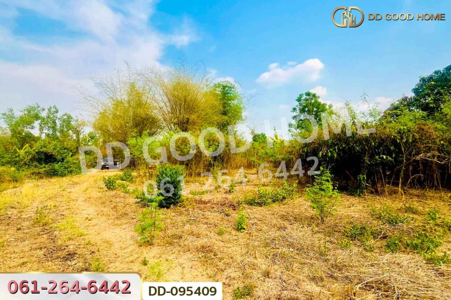 ที่ดินมะเขือแจ้ 3 ไร่ 390 ตร.ว. เมืองลำพูน ใกล้ศาลจังหวัดลำพูน-5