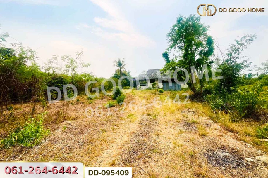 ที่ดินมะเขือแจ้ 3 ไร่ 390 ตร.ว. เมืองลำพูน ใกล้ศาลจังหวัดลำพูน-3