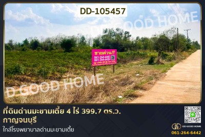 ที่ดินด่านมะขามเตี้ย 4 ไร่ 399.7 ตร.ว. กาญจนบุรี ใกล้โรงพยาบาลด่านมะขามเตี้ย