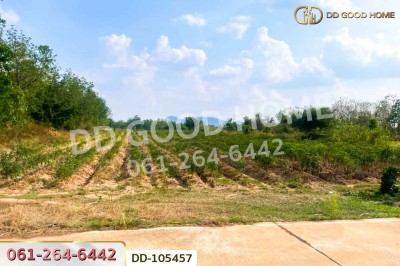 ที่ดินด่านมะขามเตี้ย 4 ไร่ 399.7 ตร.ว. กาญจนบุรี ใกล้โรงพยาบาลด่านมะขามเตี้ย
