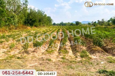 ที่ดินด่านมะขามเตี้ย 4 ไร่ 399.7 ตร.ว. กาญจนบุรี ใกล้โรงพยาบาลด่านมะขามเตี้ย