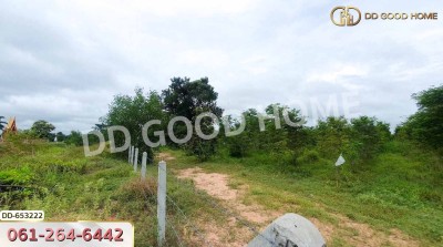 ที่ดินวังหิน 7 ไร่ 389 ตร.ว. ศรีสะเกษ ใกล้วัดป่าดู่ วังหิน-4
