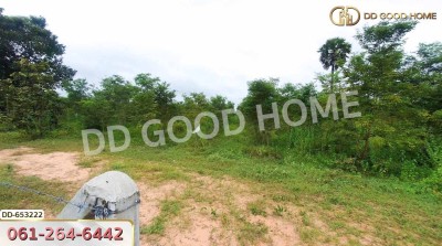 ที่ดินวังหิน 7 ไร่ 389 ตร.ว. ศรีสะเกษ ใกล้วัดป่าดู่ วังหิน-3