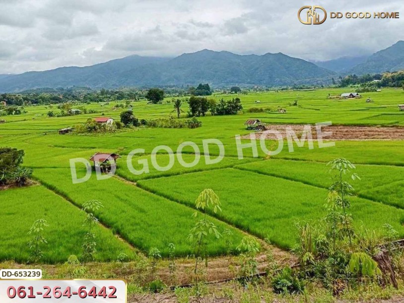 ที่ดินเชียงกลาง 5 ไร่ 338.2 ตร.ว. น่าน ใกล้วัดกลาง น่าน-6