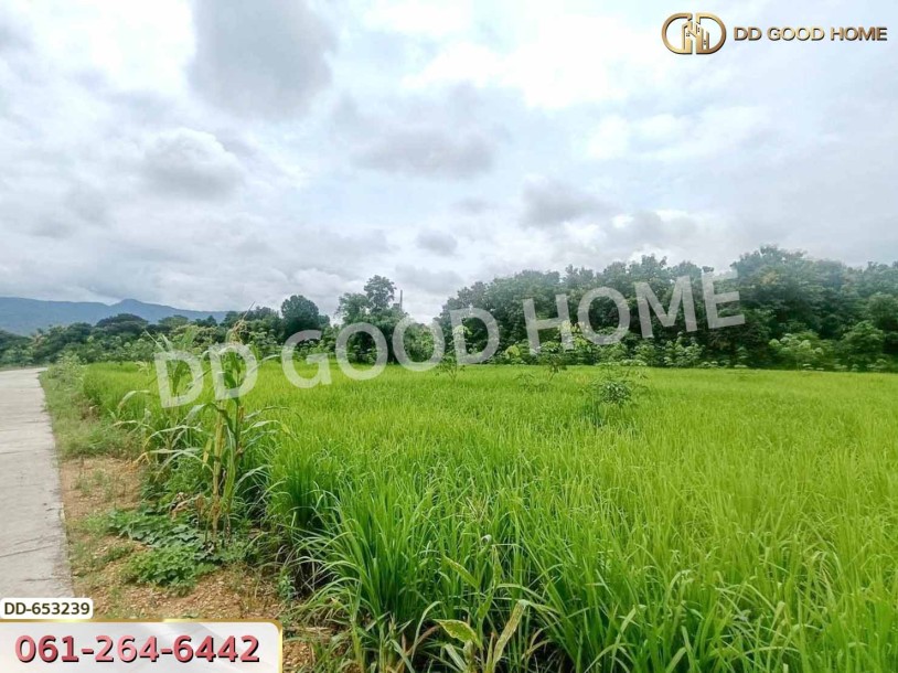 ที่ดินเชียงกลาง 5 ไร่ 338.2 ตร.ว. น่าน ใกล้วัดกลาง น่าน-2