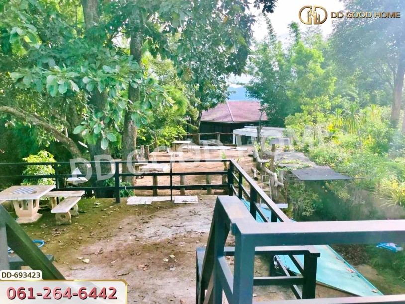 ที่ดินพาน 37 ไร่ 251.4 ตร.ว. เชียงราย ใกล้วัดโป่งแดง-6