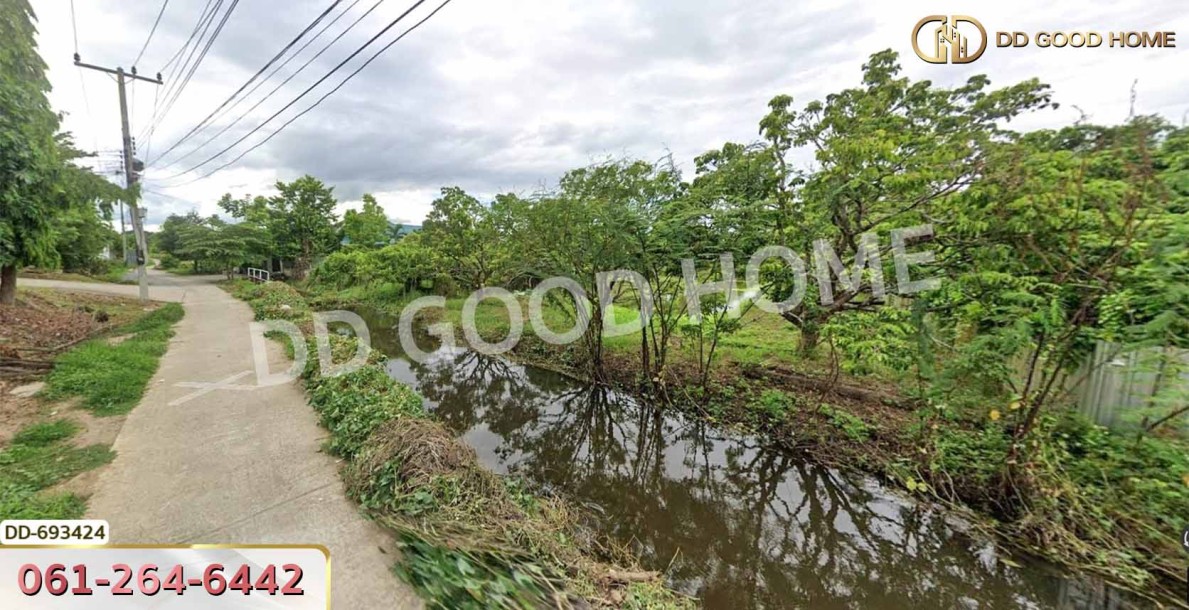 ที่ดินเมืองลำพูน 2 ไร 116 ตร.ว. ใกล้วัดพระธาตุหริภุญชัย วรมหาวิหาร-3