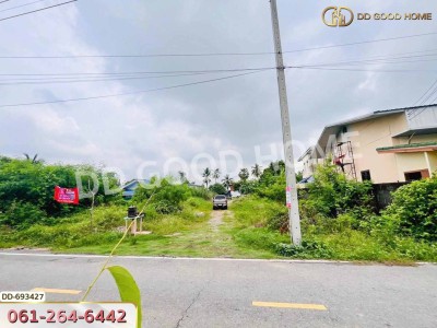 ที่ดินบางใหญ่ 388 ตร.ว. นนทบุรี ใกล้วัดหลังบาง.