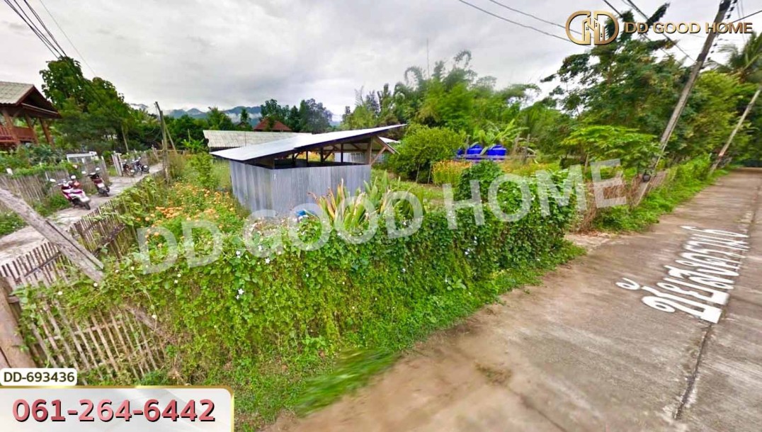 ที่ดินปาย 300 ตร.ว. แม่ฮ่องสอน ใกล้ ใกล้สนามบิน อ.ปาย-7