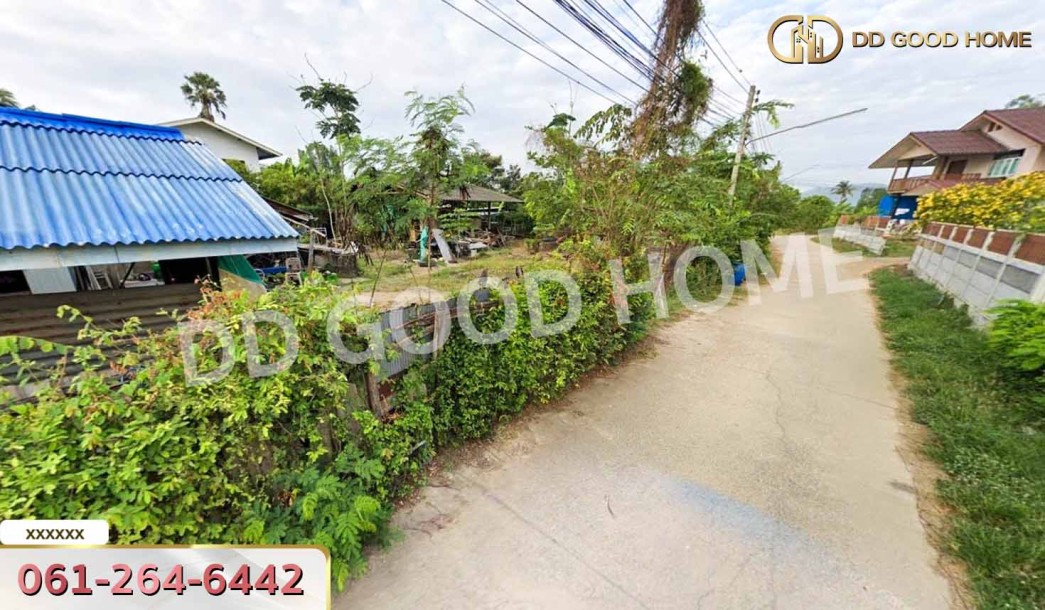 ที่ดินเขาย้อย 69 ตร.ว. เพชรบุรี ใกล้พิพิธภัณฑ์ปานถนอม-2