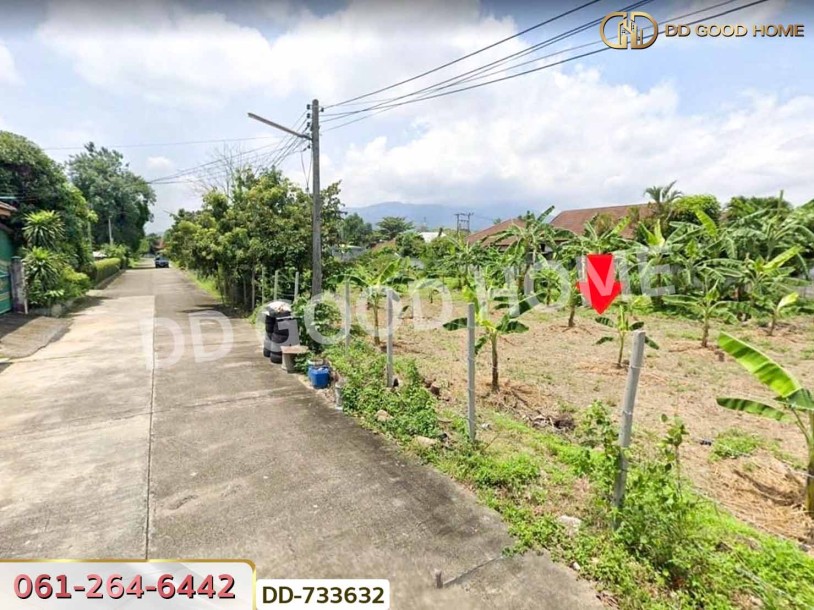 ที่ดินแม่ริม 397.7 ตร.ว. เชียงใหม่ ใกล้วัดดอนแก้ว-3