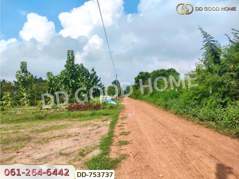 ที่ดินปากช่อง 6 ไร่ 298.3 ตร.ว. ราชบุรี ใกล้โชคชัยฟาร์ม-8