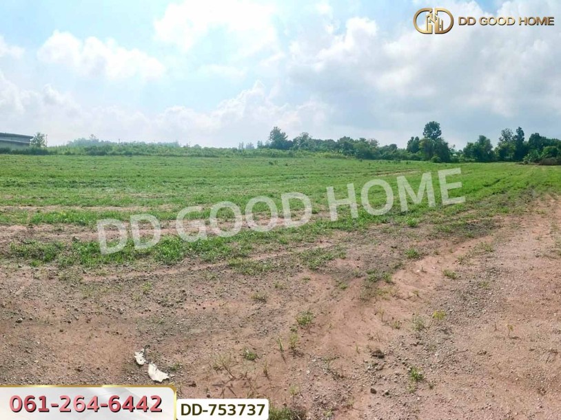 ที่ดินปากช่อง 6 ไร่ 298.3 ตร.ว. ราชบุรี ใกล้โชคชัยฟาร์ม-6