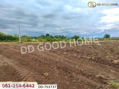 ที่ดินปากช่อง 6 ไร่ 298.3 ตร.ว. ราชบุรี ใกล้โชคชัยฟาร์ม