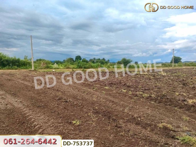 ที่ดินปากช่อง 6 ไร่ 298.3 ตร.ว. ราชบุรี ใกล้โชคชัยฟาร์ม-4