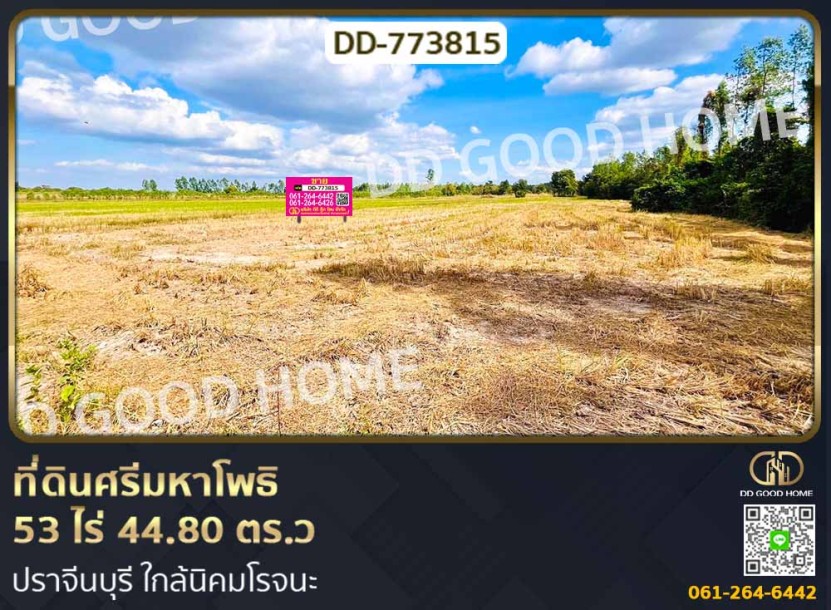 ที่ดินศรีมหาโพธิ 53 ไร่ 44.80 ตร.ว ปราจีนบุรี ใกล้นิคมโรจนะ-1