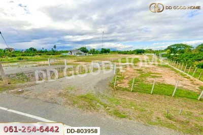 ที่ดินต้นธง 5 ไร่ 34 ตร.ว. ลำพูน ใกล้ตลาดสบทา