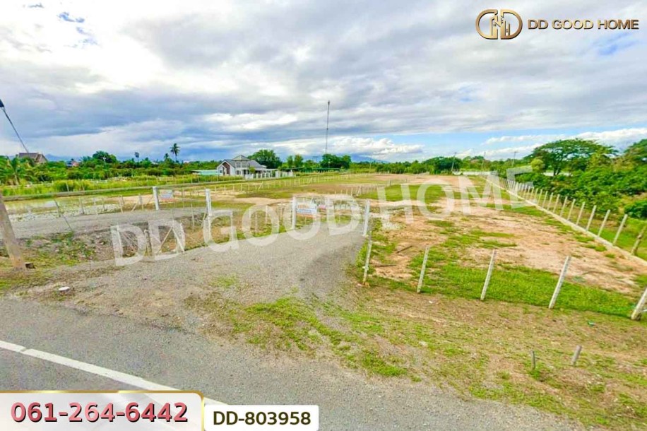 ที่ดินต้นธง 5 ไร่ 34 ตร.ว. ลำพูน ใกล้ตลาดสบทา-10