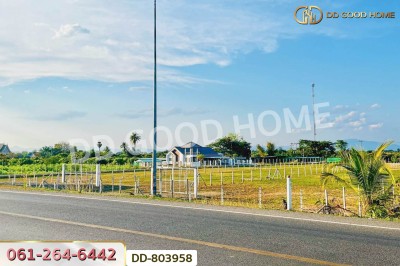 ที่ดินต้นธง 5 ไร่ 34 ตร.ว. ลำพูน ใกล้ตลาดสบทา