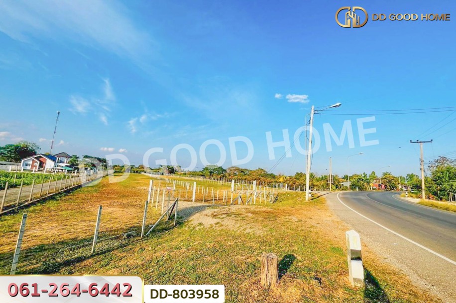 ที่ดินต้นธง 5 ไร่ 34 ตร.ว. ลำพูน ใกล้ตลาดสบทา-5