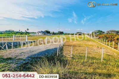 ที่ดินต้นธง 5 ไร่ 34 ตร.ว. ลำพูน ใกล้ตลาดสบทา