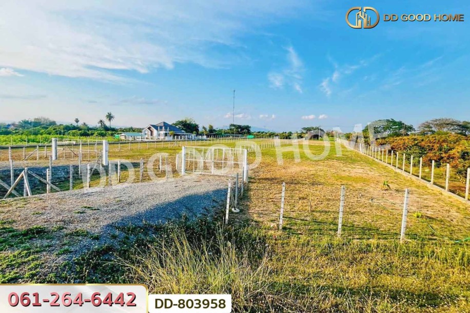 ที่ดินต้นธง 5 ไร่ 34 ตร.ว. ลำพูน ใกล้ตลาดสบทา-4