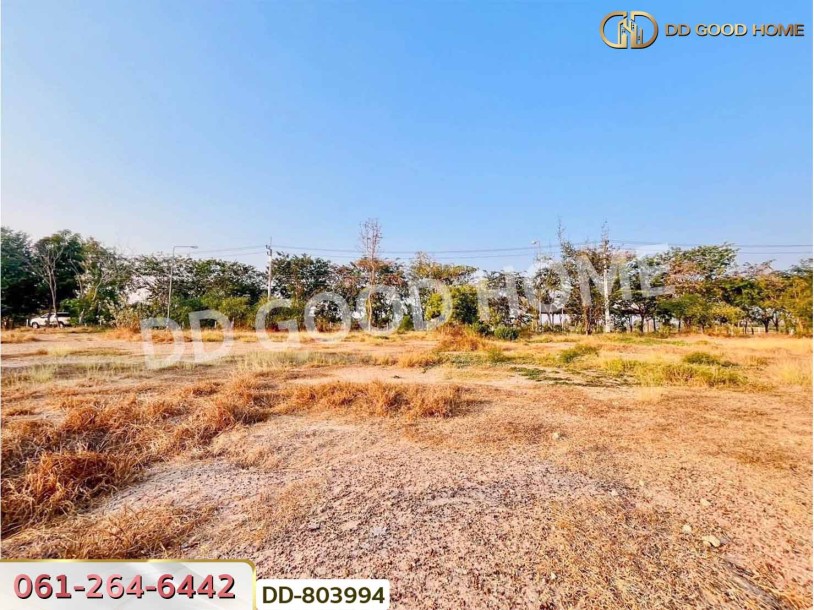 ที่ดินหนองหญ้าไซ 200 ตร.ว. สุพรรณบุรี ใกล้วัดหนองกรับ-6