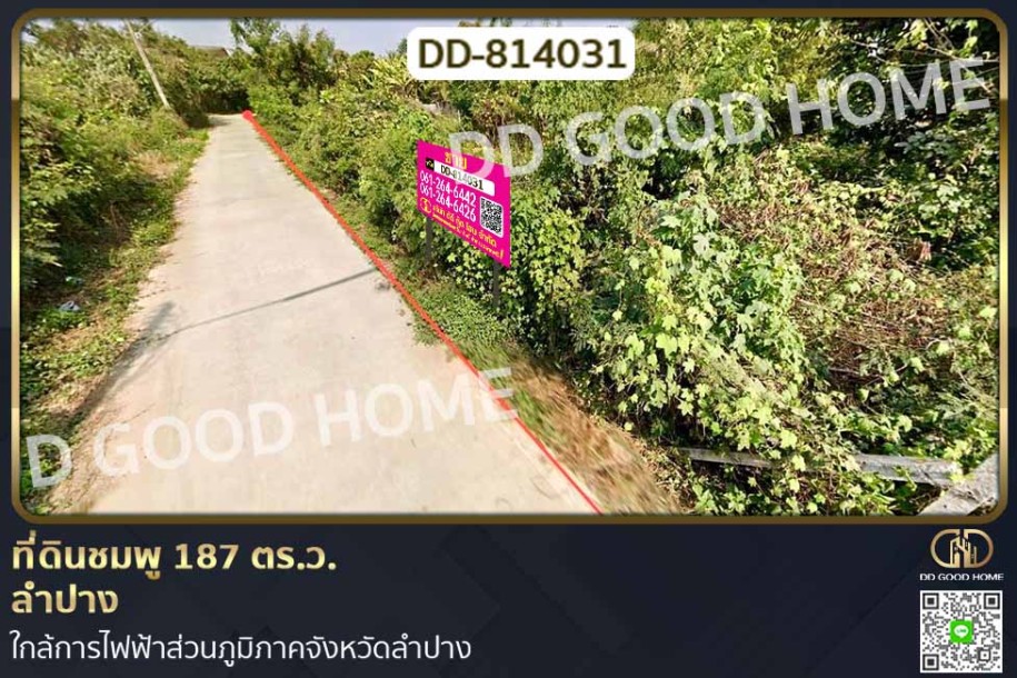 ที่ดินชมพู 169 ตร.ว. ลำปาง ใกล้การไฟฟ้าส่วนภูมิภาคจังหวัดลำปาง-1