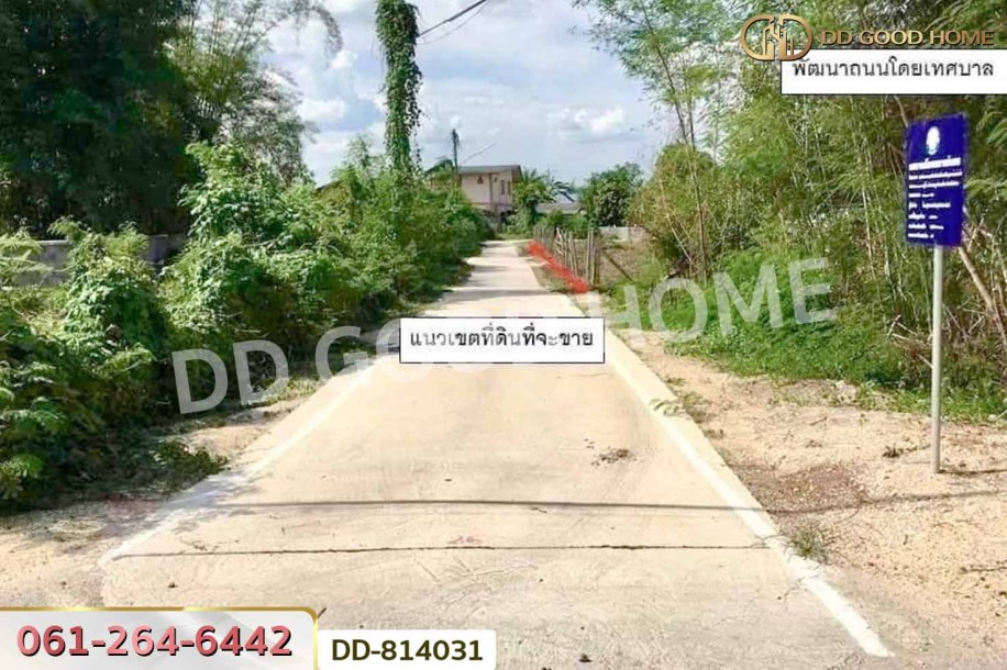 ที่ดินชมพู 169 ตร.ว. ลำปาง ใกล้การไฟฟ้าส่วนภูมิภาคจังหวัดลำปาง-3