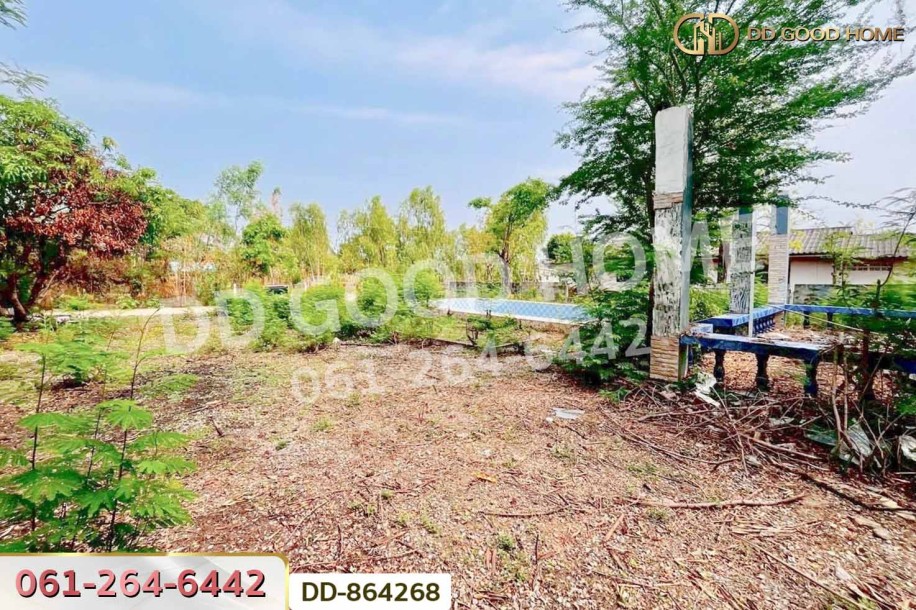 ที่ดินเขาสวนกวาง 211 ตร.ว. ขอนแก่น ใกล้โรงพยาบาลเขาสวนกวาง-2