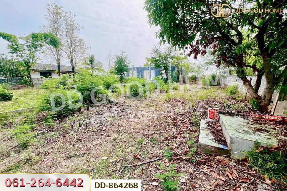 ที่ดินเขาสวนกวาง 211 ตร.ว. ขอนแก่น ใกล้โรงพยาบาลเขาสวนกวาง-3