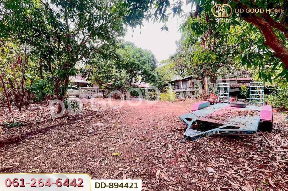 ที่ดินโนนสะอาด 92 ตร.ว.อุดรธานี ใกล้โรงเรียนชุมชนบ้านบุ่งแก้ว-7