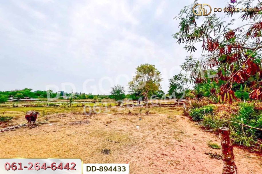 ที่ดินโคกสะอาด 4 ไร่ 111.ตร.ว. อุดรธานี ใกล้โรงพยาบาลส่งเสริมสุขภาพตำบลบ้านเลื่อม.-8