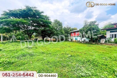 ที่ดินปากช่อง 2 ไร่ 164 ตร.ว. นครราชสีมา ใกล้วัดซับใต้