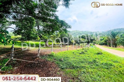 ที่ดินปากช่อง 2 ไร่ 164 ตร.ว. นครราชสีมา ใกล้วัดซับใต้