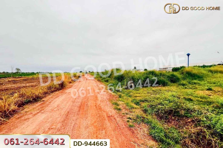 ที่ดินหนองหว้า 44 ไร่ 119 ตร.ว. กุมภวาปี อุดรธานี ใกล้สำนักงานเทศบาลตำบลห้วยเกิ้ง-4