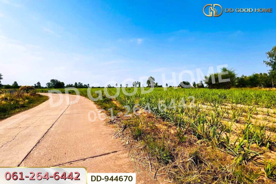 ที่ดินโคกกลาง 45 ไร่ 387 ตร.ว. โนนสะอาด อุดรธานี ใกล้สำนักงานสาธารณสุขอำเภอโนนสะอาด-5