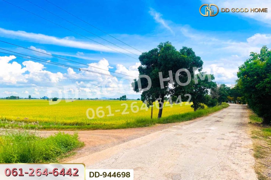 ที่ดินเกยไชย 5 ไร่ 20 ตร.ว. ชุมแสง นครสวรรค์ ใกล้ที่ว่าการอำเภอชุมแสง-6