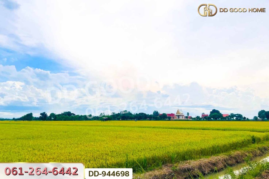 ที่ดินเกยไชย 5 ไร่ 20 ตร.ว. ชุมแสง นครสวรรค์ ใกล้ที่ว่าการอำเภอชุมแสง-5