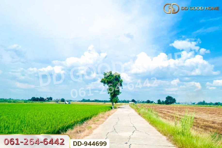 ที่ดินเกยไชย 21 ไร่ 163 ตร.ว. ชุมแสง นครสวรรค์ ใกล้ที่ว่าการอำเภอชุมแสง.-3