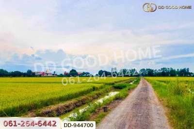 ที่ดินเกยไชย 10 ไร่ 259 ตร.ว. ชุมแสง นครสวรรค์ ใกล้ที่ว่าการอำเภอชุมแสง.