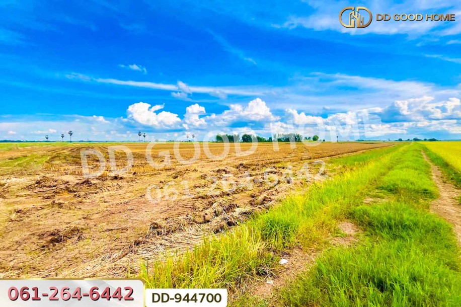 ที่ดินเกยไชย 10 ไร่ 259 ตร.ว. ชุมแสง นครสวรรค์ ใกล้ที่ว่าการอำเภอชุมแสง.-2