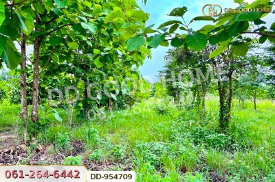 ที่ดินศาลาลำดวน 3 ไร่ 69.5 ตร.ว. สระแก้ว ใกล้โรงเรียนบ้านท่าช้าง